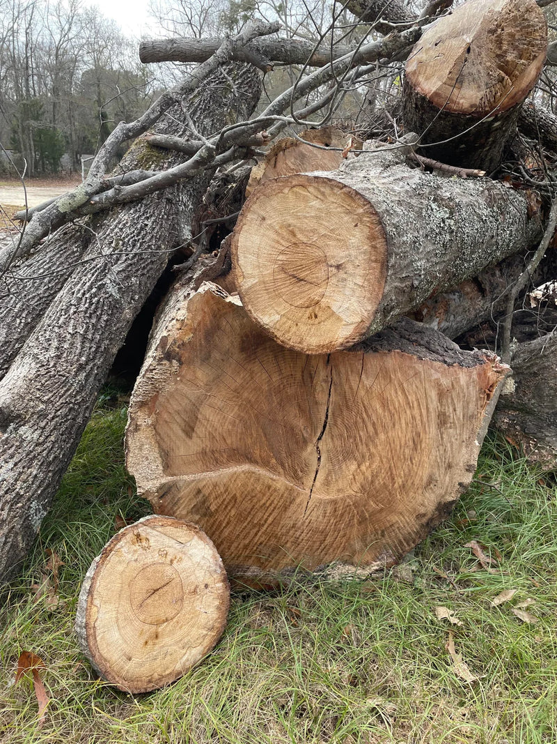 Oak: The Enduring Standard in Fine Furniture