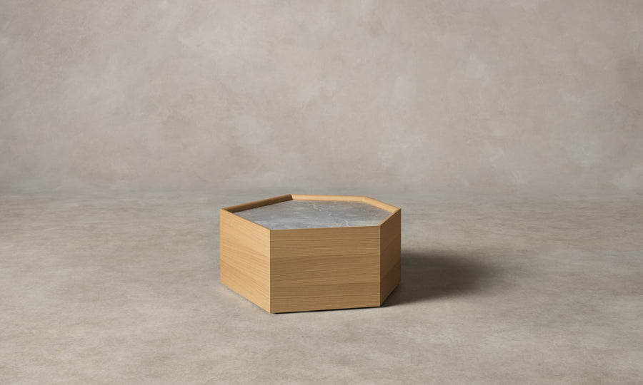 Trivena Coffee Table - View 1