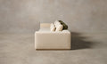 Nicola Modular Sofa - View 6
