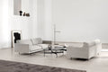 Minimalist Scandinavian Sofa