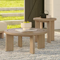 Daphne Coffee Table and Side Table Set