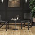 The Puget-Ville Dining Chair