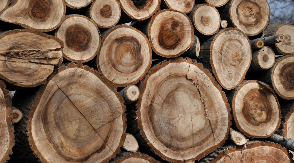 Nogal: La madera noble de prestigio para muebles con personalidad