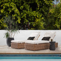 Wicker and Metal Pool Loungers