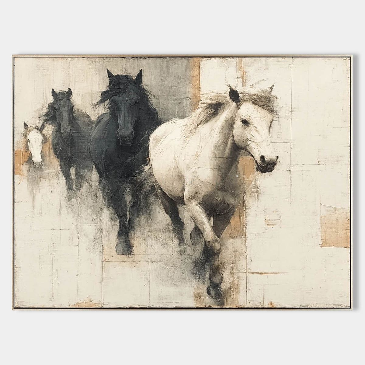 Black and White Horses in Motion