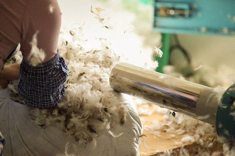 Choose cushion and back pillow material