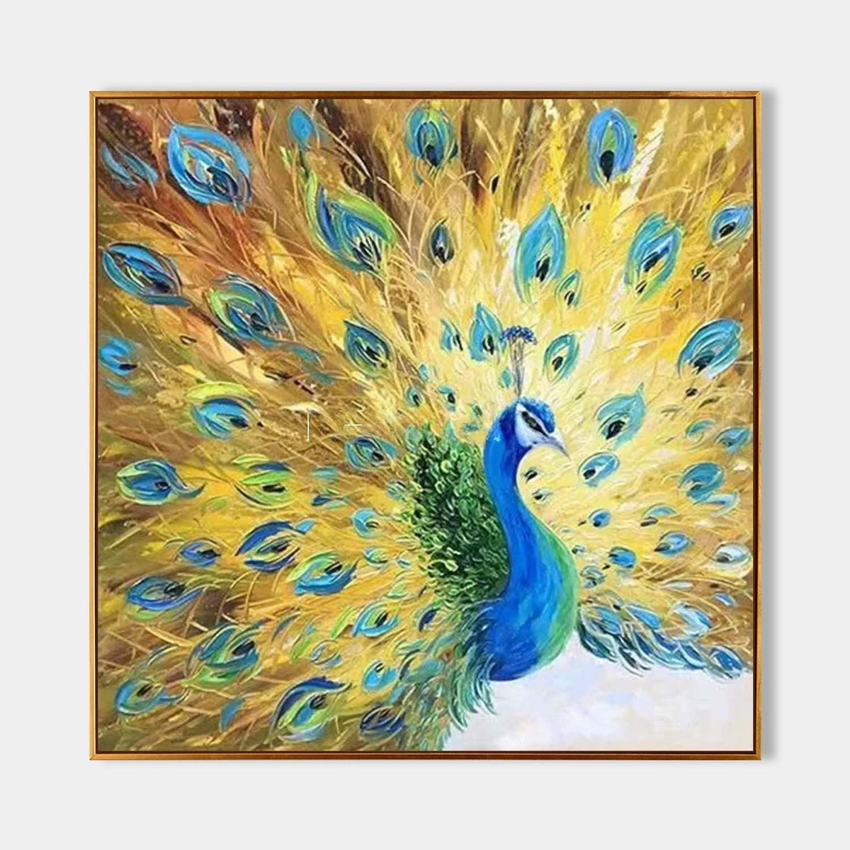 Golden Peacock in Full Display