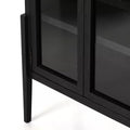 Modern Black Arched Display Cabinet - Close-up Detail