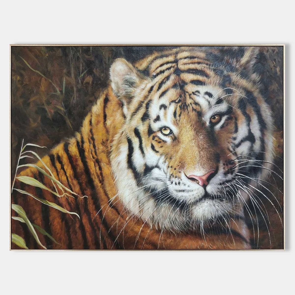 Resting Tiger in Golden Grass