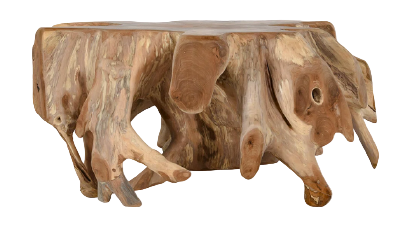 Root Coffee Table - Main View