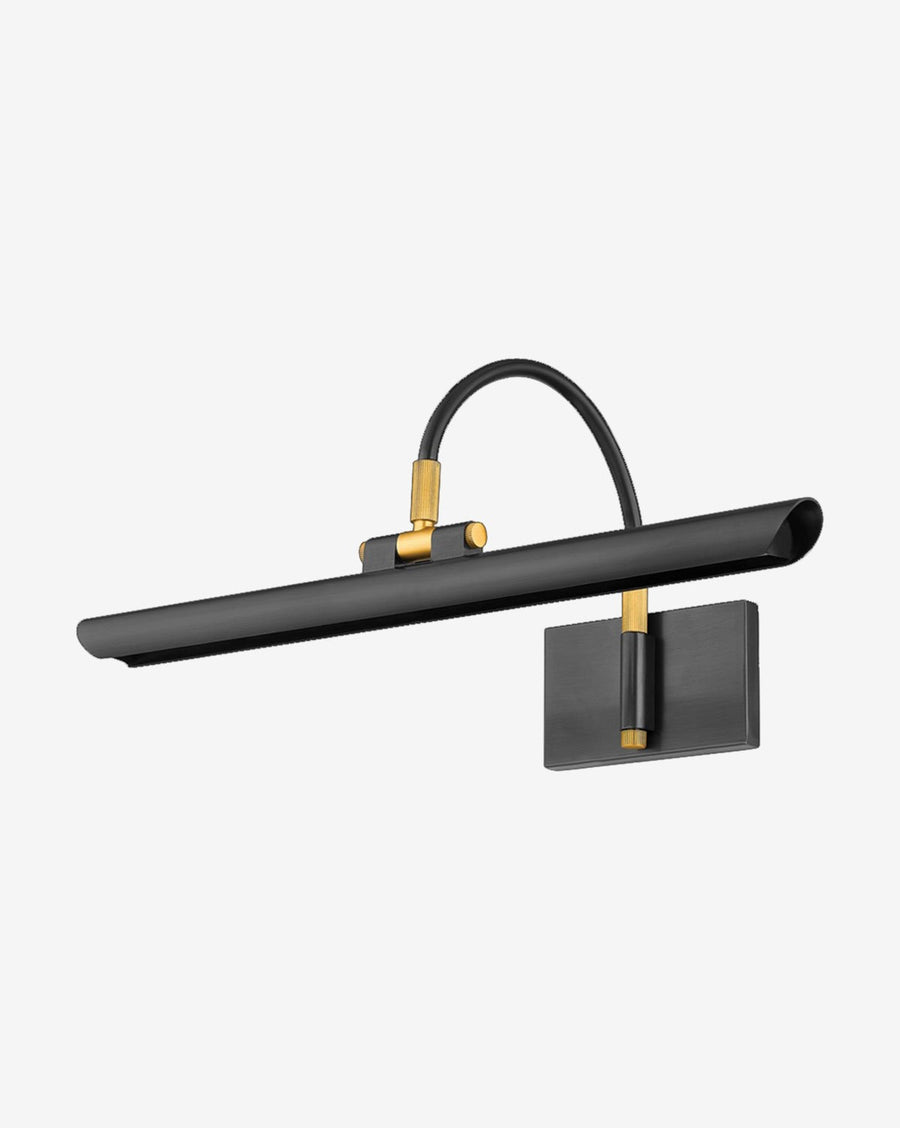 Slim Curved Arm Aged Brass Picture Light