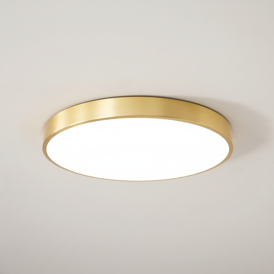 Slim Polished Brass Ring Frosted Flush Mount