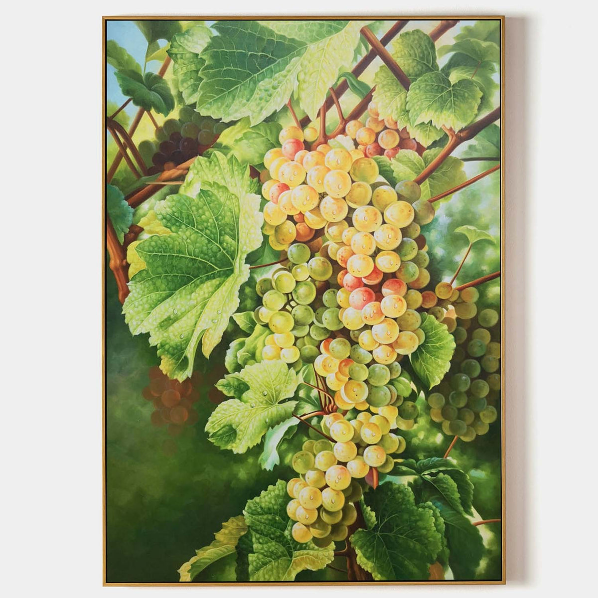 Sunlit Grapes on the Vine