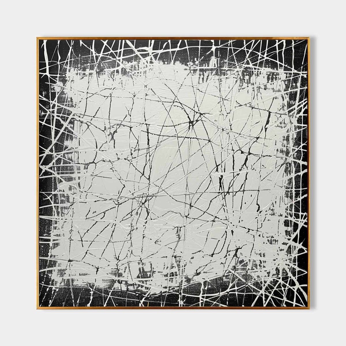 White Web Over Black Ground